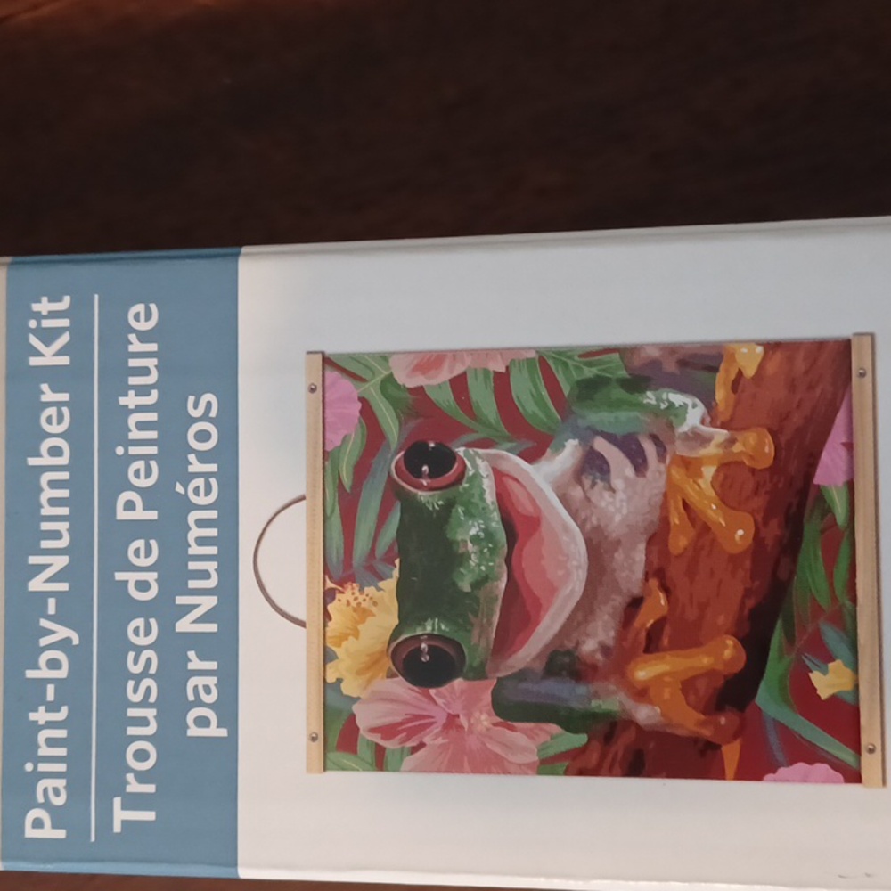 Paint-by-Number Kit - Colorful Frog Design